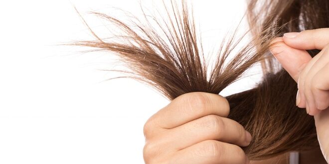 Penyebab Rambut Rontok pada Wanita Dewasa